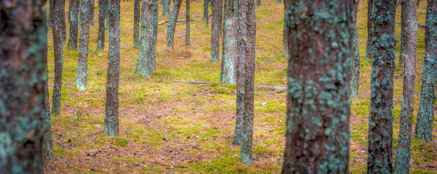 Similar image 22052956