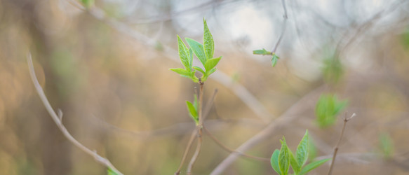 Similar image 22052957