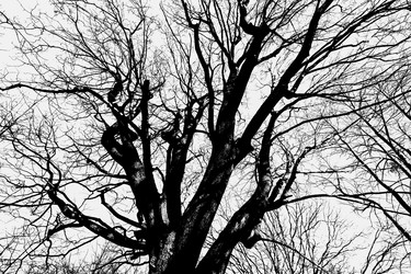 Similar image 22052960