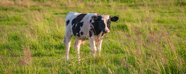 Similar image 22052962