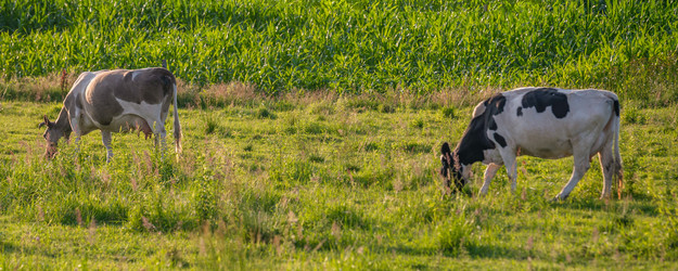 Similar image 22052963