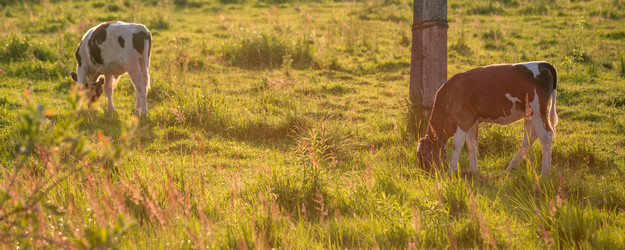 Similar image 22052964