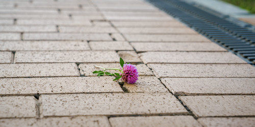 Similar image 22052967