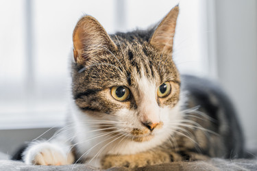 Similar image 22052968