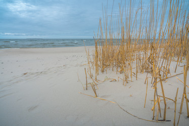 Similar image 22052971