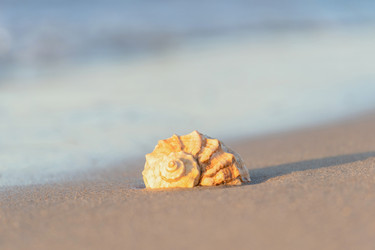 Similar image 22052974