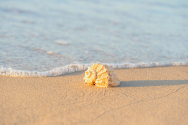 Similar image 22052975