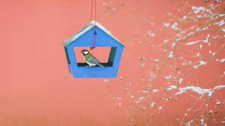 Similar image 22052976