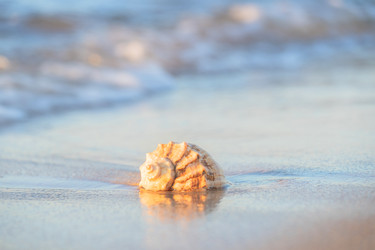 Similar image 22052977