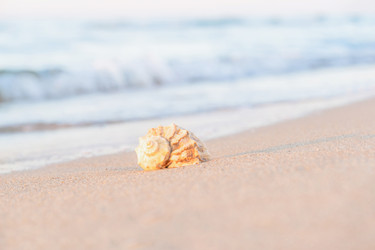 Similar image 22052978