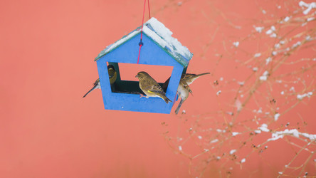 Similar image 22052979