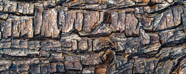 Similar image 22052981