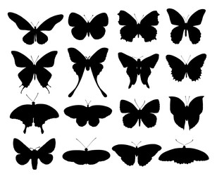 Similar image 22051946