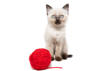 Similar image 22052697