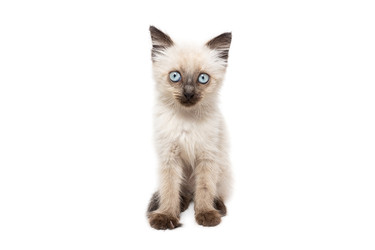 Similar image 22052699