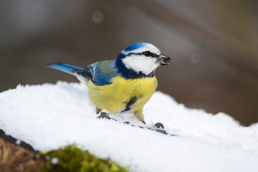 Similar image 22052701