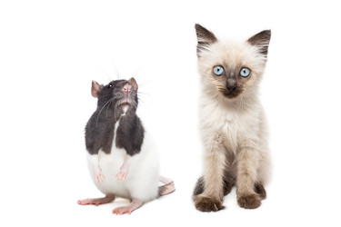 Similar image 22052702