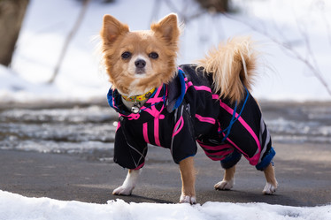 Similar image 22052704