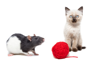 Similar image 22052705