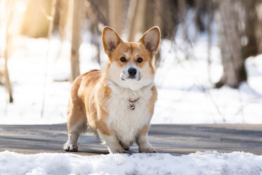 Similar image 22052708