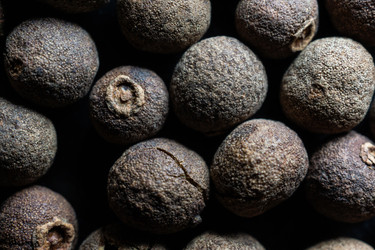 Similar image 22052714