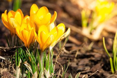 Similar image 22052730