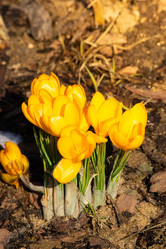 Similar image 22052732