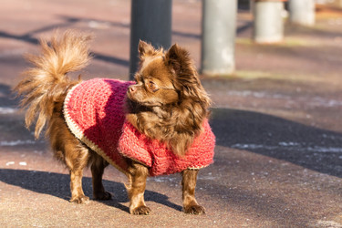 Similar image 22052734