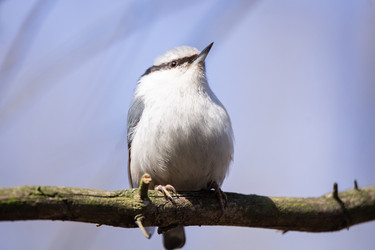 Similar image 22052745