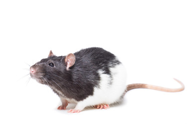 Similar image 22052760