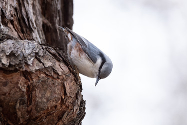 Similar image 22052780