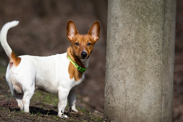 Similar image 22052784