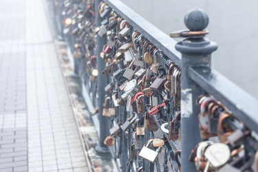 Similar image 22053004