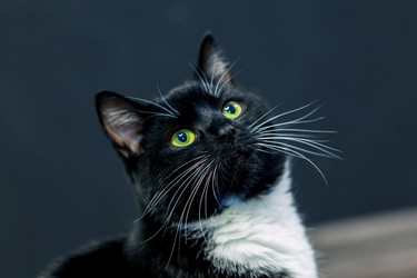 Similar image 22053005