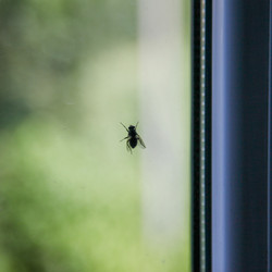 Similar image 22053009