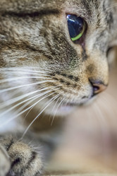 Similar image 22053015