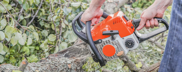 Similar image 22053018