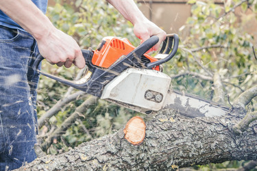 Similar image 22053019