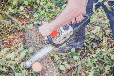 Similar image 22053020