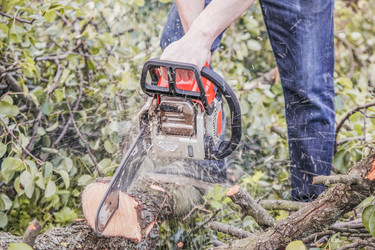 Similar image 22053021