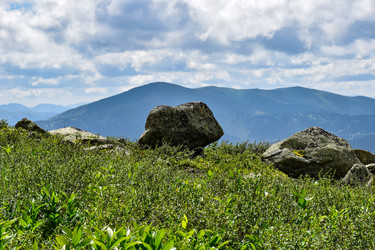 Similar image 22051971