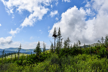 Similar image 22051977