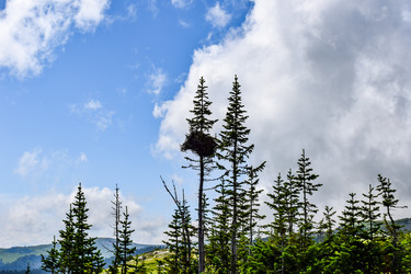 Similar image 22051978