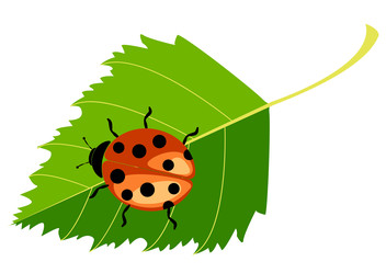 Similar image 22053139