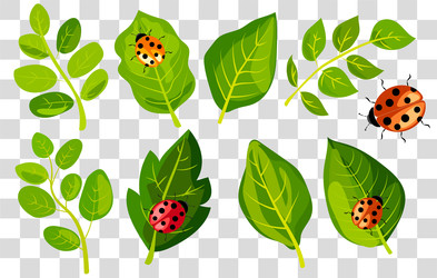 Similar image 22053167