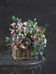 Similar image 22052000