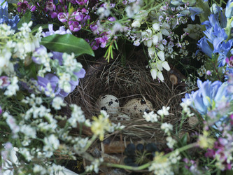 Similar image 22052007