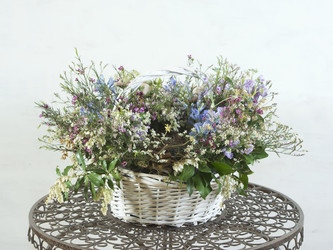 Similar image 22052391