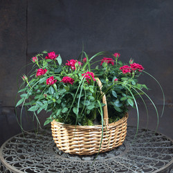 Similar image 22052396