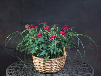 Similar image 22052398